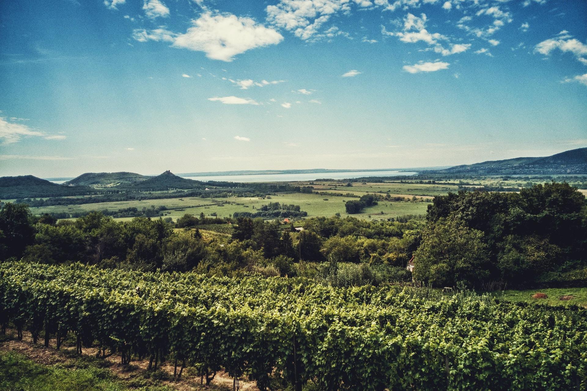 balaton