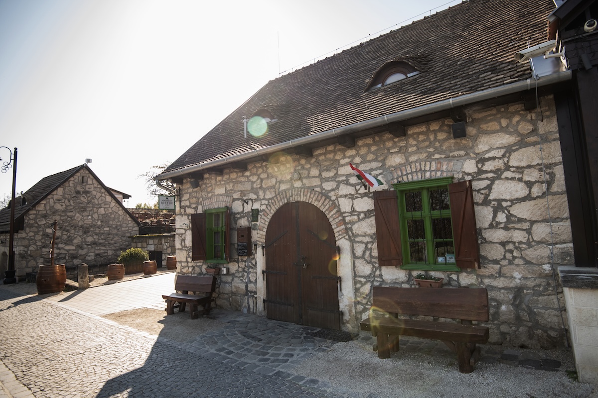 Szerzők