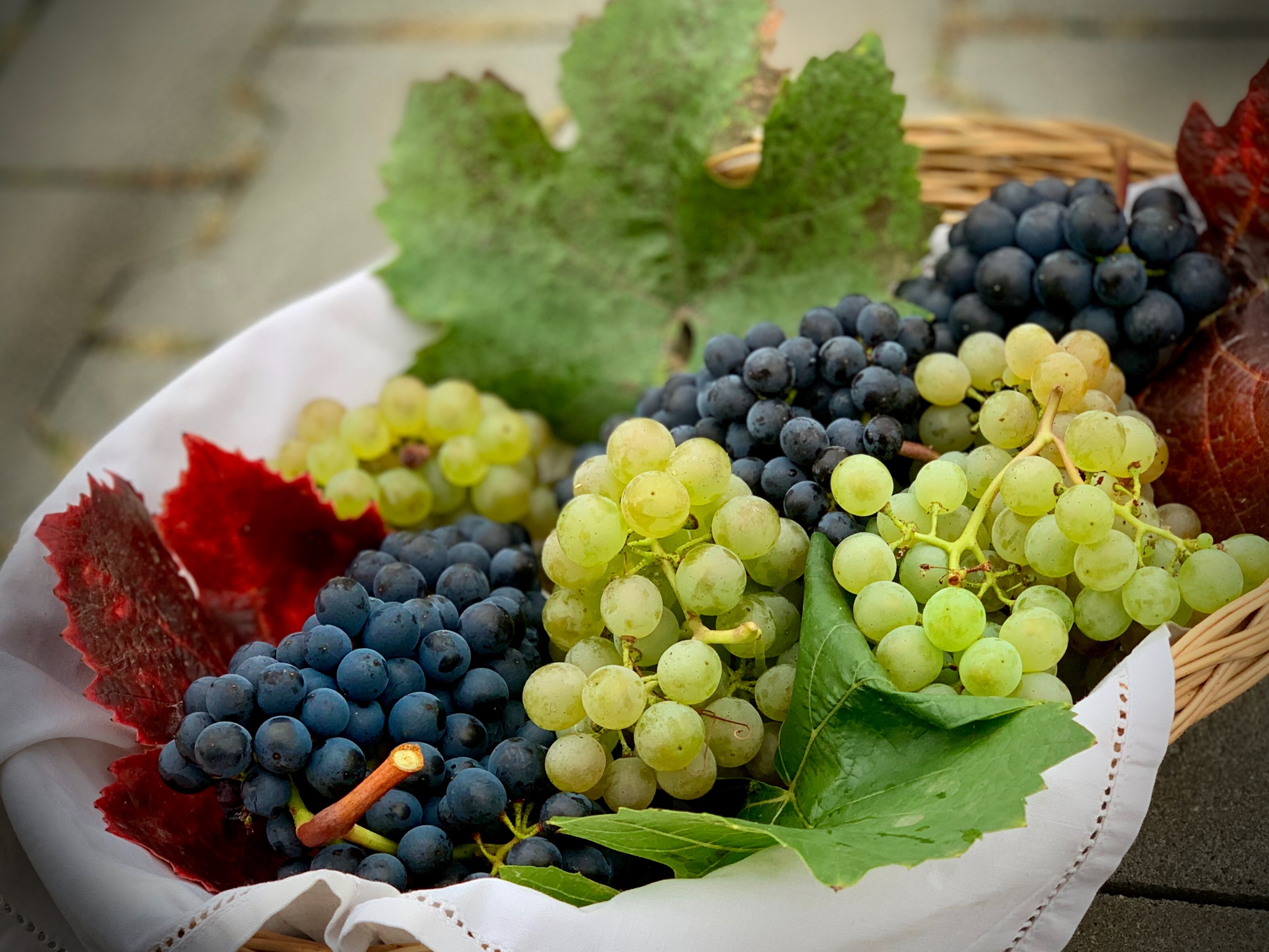 furmint