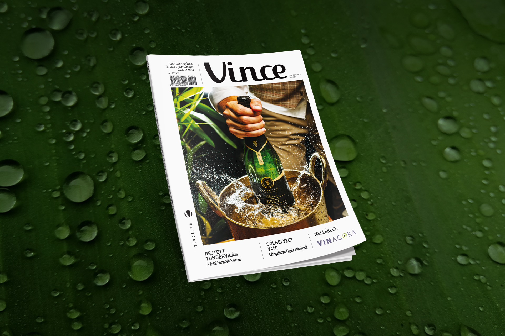 vince