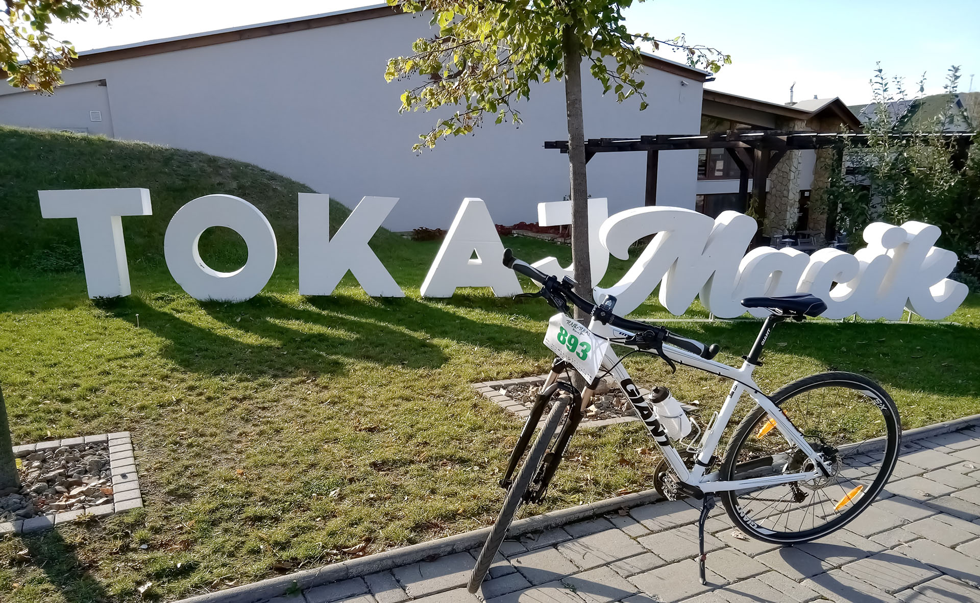 kékfrankos