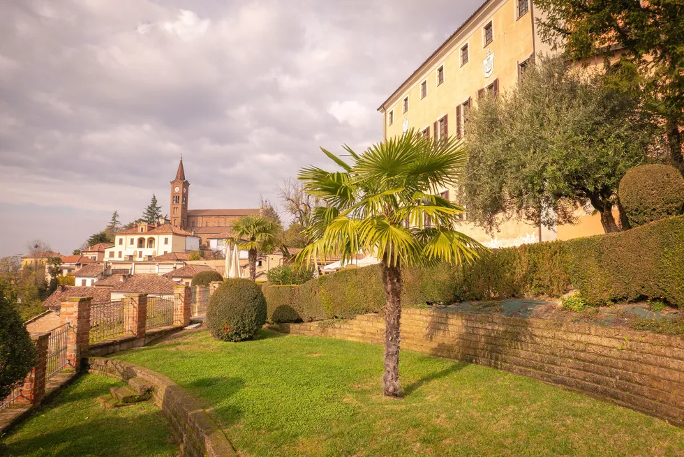 pincészet